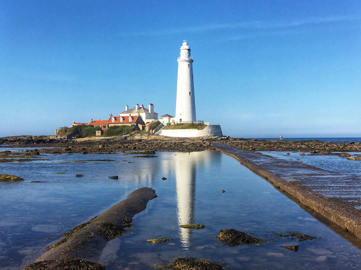 Evening sunshine at St Marys Lighthouse☀️ #NorthEastCoast #StormHour