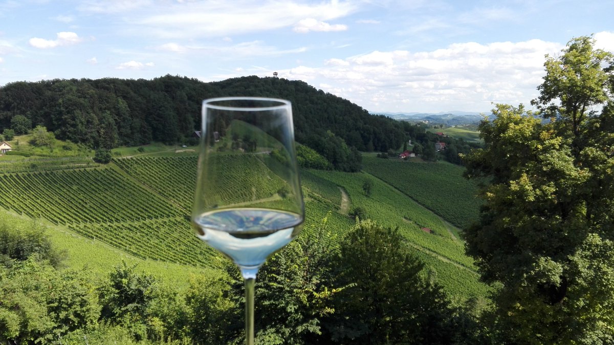Checking out wines for the banquet and the trip in the vineyards in South Styria for <a href="/ICMPC15_ESCOM10/">ICMPC15/ESCOM10</a> Graz hub. Do not forget to register if you are interested :-)