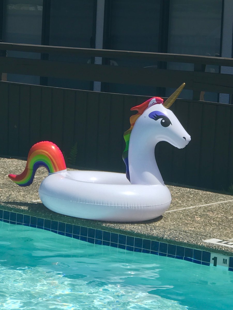 Elley_Ray's tweet photo. I found a beautiful friend at the pool #magiclives https://t.co/Wch2B7gbNi