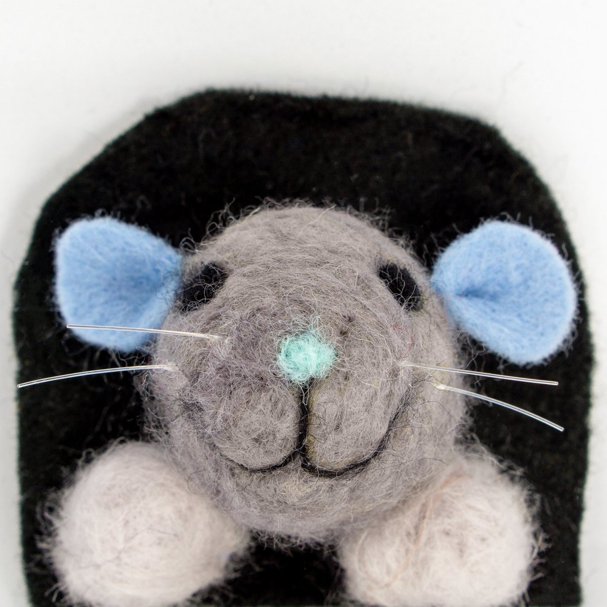 Say 'Hi' to some of this years gang of Teddies for Ely Aquafest! There will be plenty of them on our stand, so come along this Sunday and adopt one! We'll also have some felt mice to adopt, plus badge making! We hope to see you there 😁
facebook.com/events/3774621…