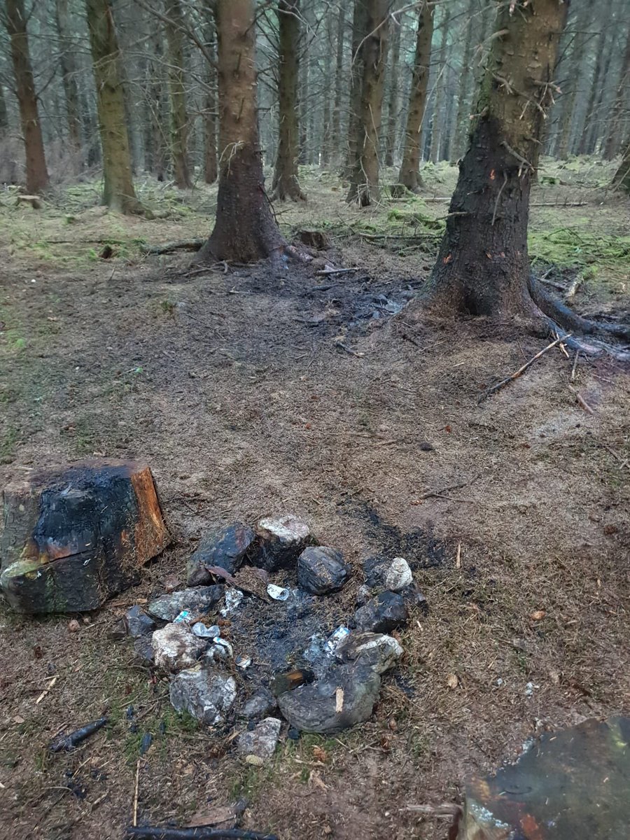 Whoever lit this camp fire in Djouce Woods deserves to have their chestnuts roasted over an open fire - keep matches away from children of all ages......🔥