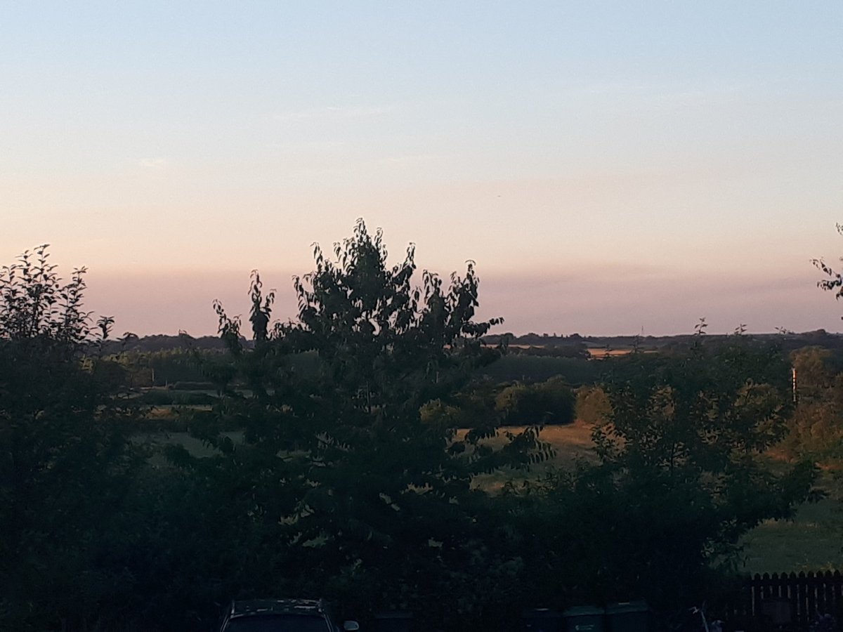 Emily Speed tweet media