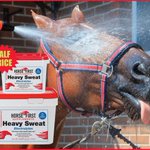 Photo by Horse First Winners (@horsefirst)