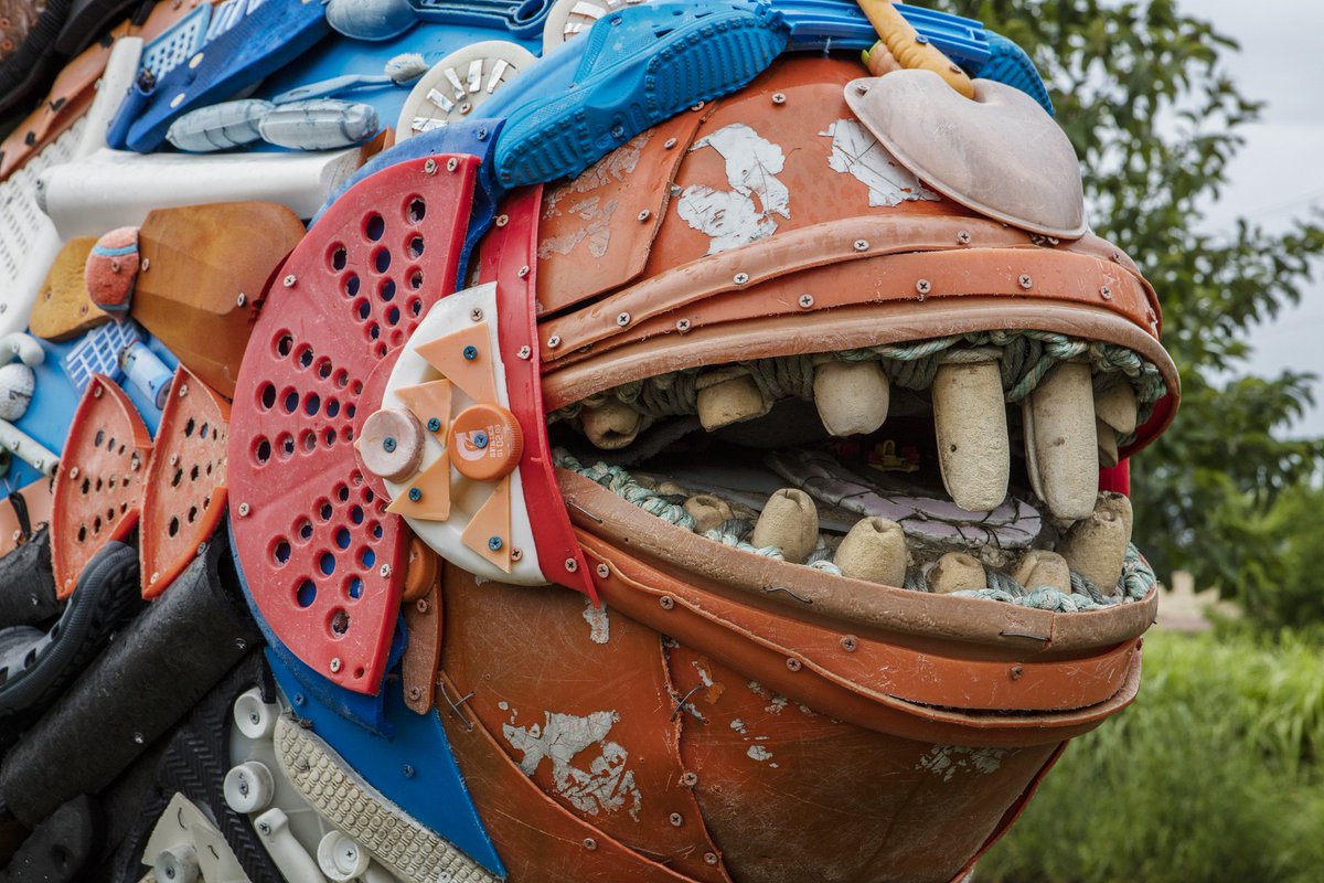 Shedd Aquarium on Twitter "Take a closer look at WashedAshore's Rufus