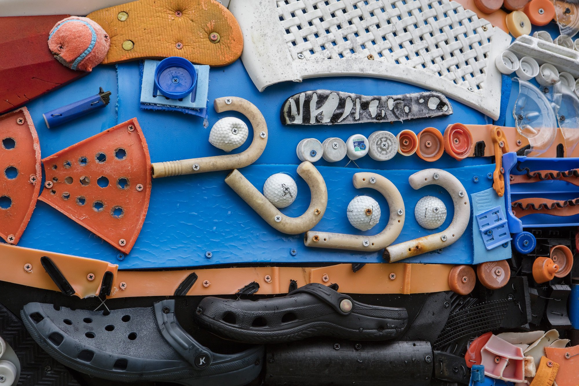 Shedd Aquarium on Twitter "Take a closer look at WashedAshore's Rufus