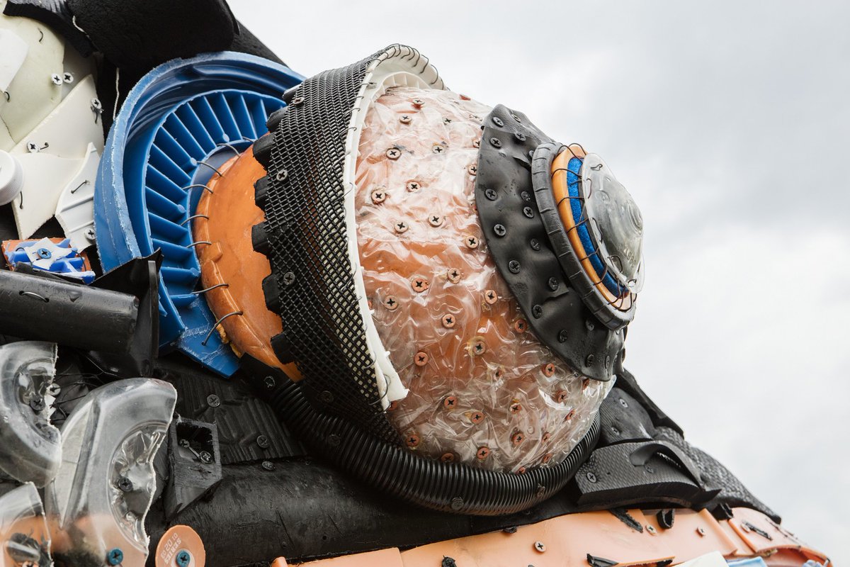 Shedd Aquarium on Twitter "Take a closer look at WashedAshore's Rufus