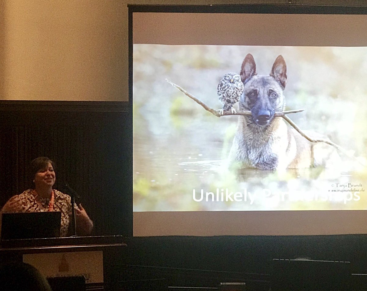 Agreed <a href="/JennyRockus/">Jennifer Griswold</a>: Partnerships, especially unlikely ones, can produce #research magic! #ttra2018