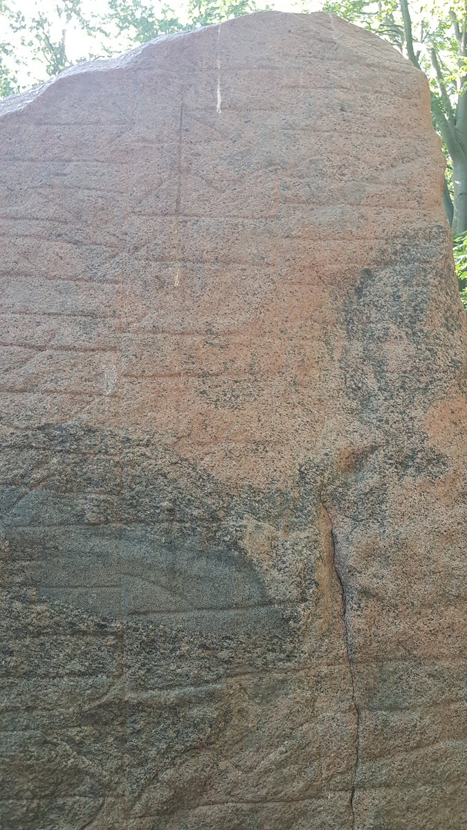 erin_sebo's tweet photo. Ragnhild set this stone for her husband, Alle. The 10th century #skibssætning in a Beech grove at #Glavendrup by two #bronzeage barrows. It is about 120kms from #Hjarnø by land, but 30km by sea. Alle is somewhere else. https://t.co/KAX4NLdQ59