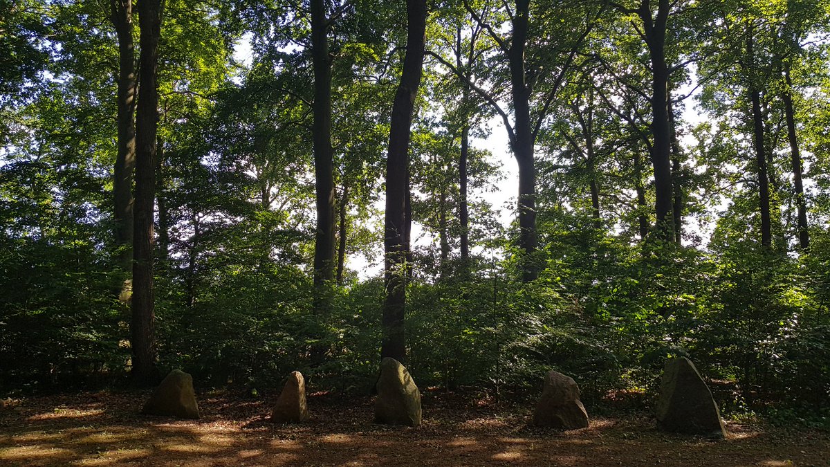erin_sebo's tweet photo. Ragnhild set this stone for her husband, Alle. The 10th century #skibssætning in a Beech grove at #Glavendrup by two #bronzeage barrows. It is about 120kms from #Hjarnø by land, but 30km by sea. Alle is somewhere else. https://t.co/KAX4NLdQ59