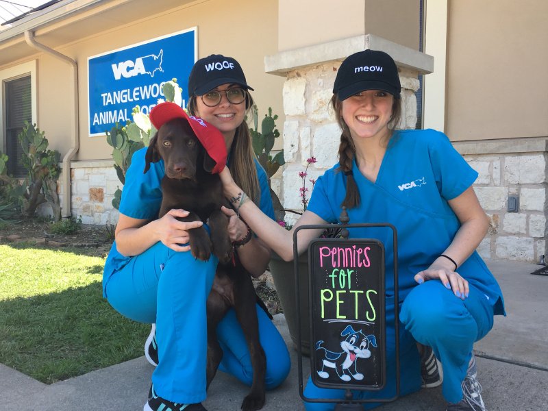 vca hospitals near me