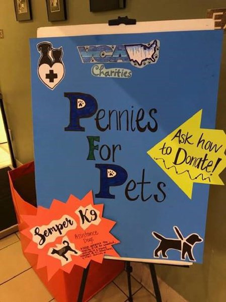 vca hospitals near me