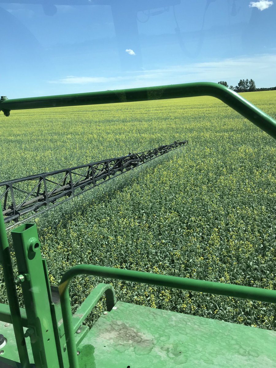 RWeinlaeder's tweet photo. Canola fungicide #wifewantedsomeflowers #invigorL233 #littlelateformothersday https://t.co/JGdeeg8Mu5