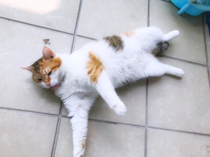 Twitterのコスプレ画像55