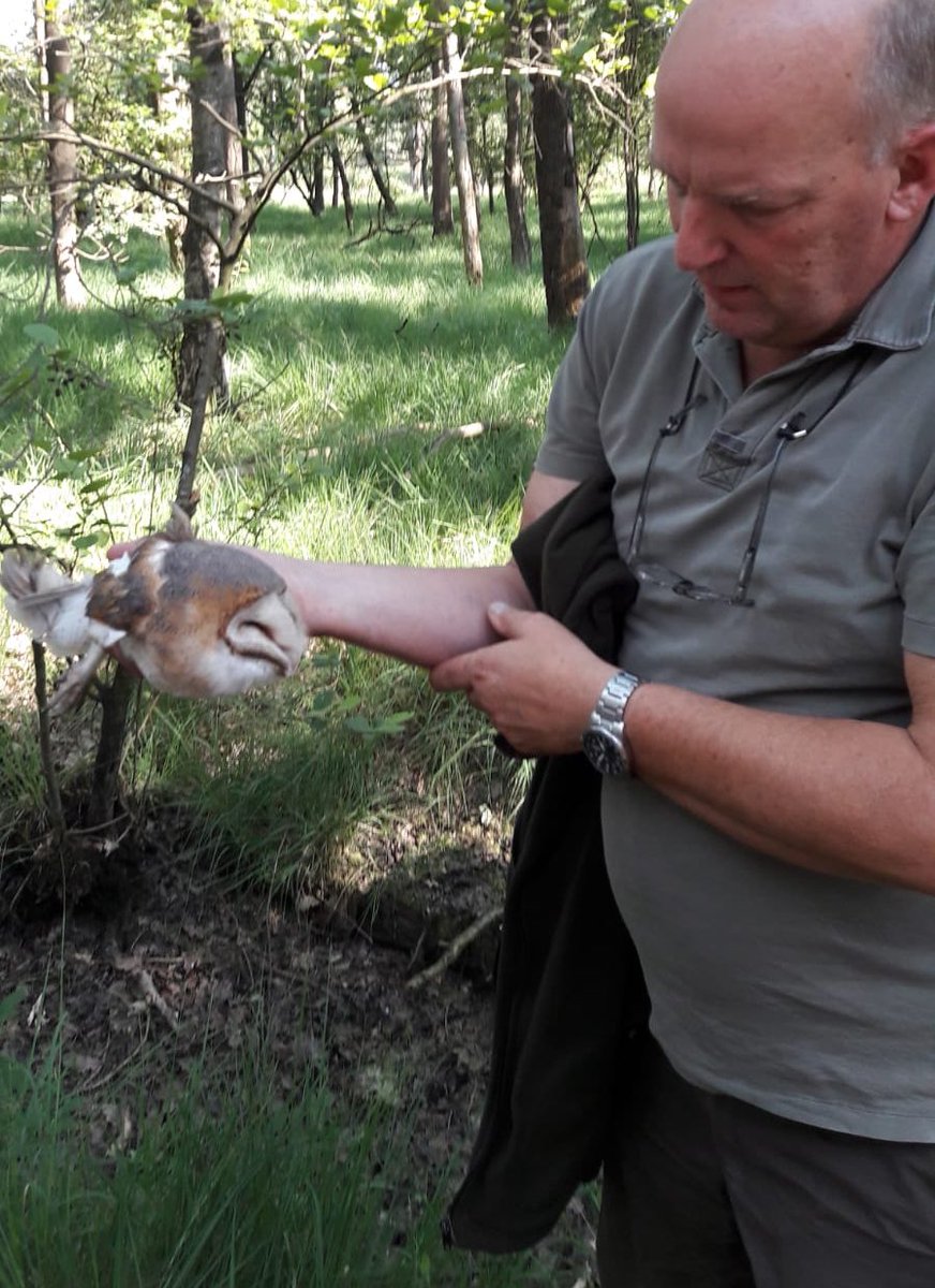 c9c71ef02946d73aa09790caa4db4aac09d5ea34b37985541f70bf3d0ac3f70e, image size:872x1200