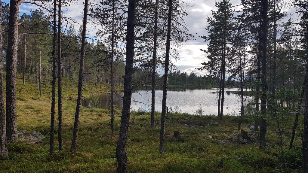 bjerralex's tweet photo. Fiske i Lofsdalen https://t.co/RAY7TXz3Ip https://t.co/g1rh9GVPGT