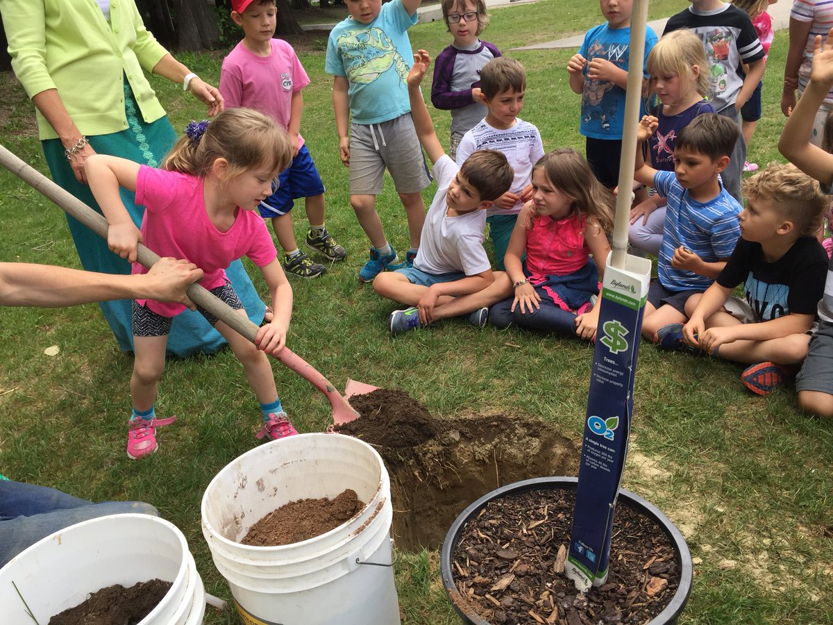 ColumbiaParkSch's tweet image. One of our traditions here at CPE. 6 year old tree planted by 6 year old children. #Legacytree