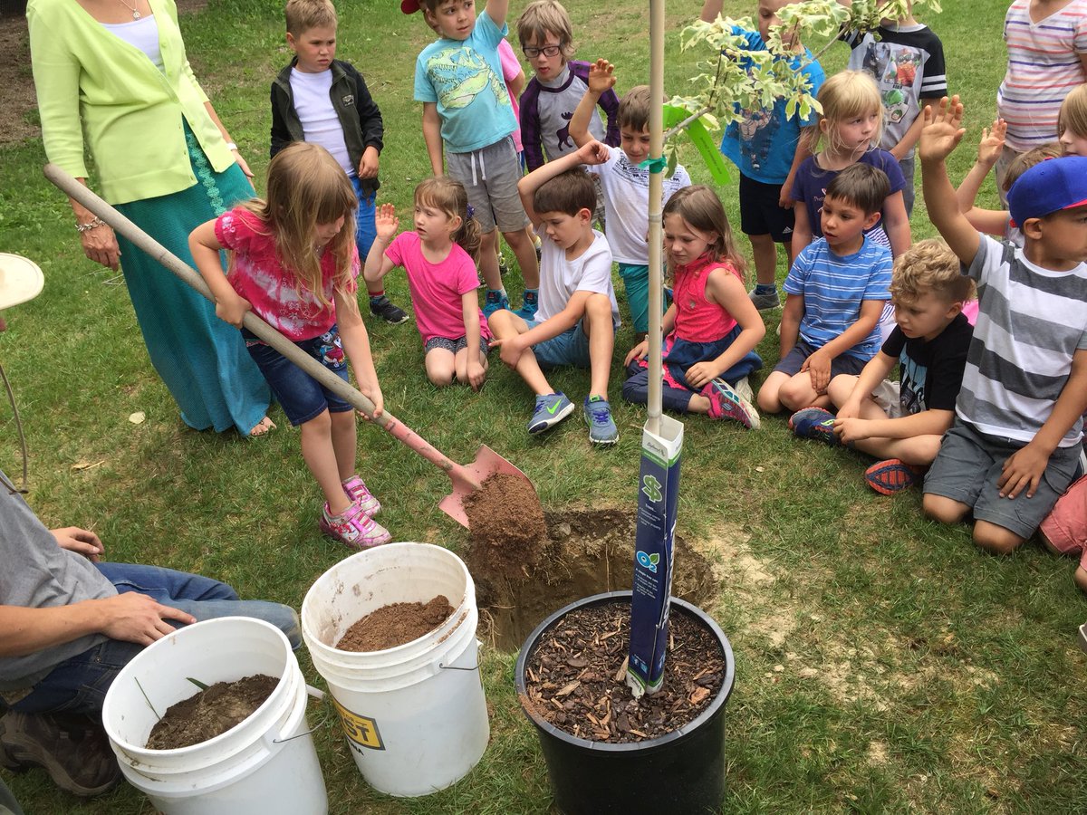 ColumbiaParkSch's tweet image. One of our traditions here at CPE. 6 year old tree planted by 6 year old children. #Legacytree