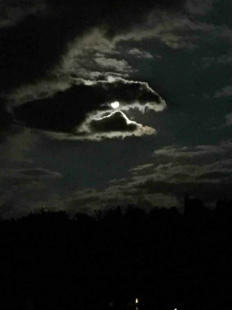 1967yve's tweet photo. #sharkyshark is coming up or whatever it looks like 🐋🐳🐬🦕🦖 https://t.co/I6GfFso75X