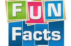 1847 - New York and Boston were linked by telegraph wires.