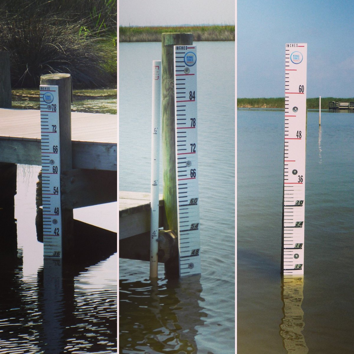 NCKingTides's tweet photo. It's been a while, but the NCKT Team is back at it! We installed three gauges last week in Currituck Sound at the Outer Banks Center for Wildlife Education, Audubon Pine Island Sanctuary & the Kitty Hawk Woods Reserve! #uncims #kingtide #nckingtides https://t.co/JAieqj5IwP