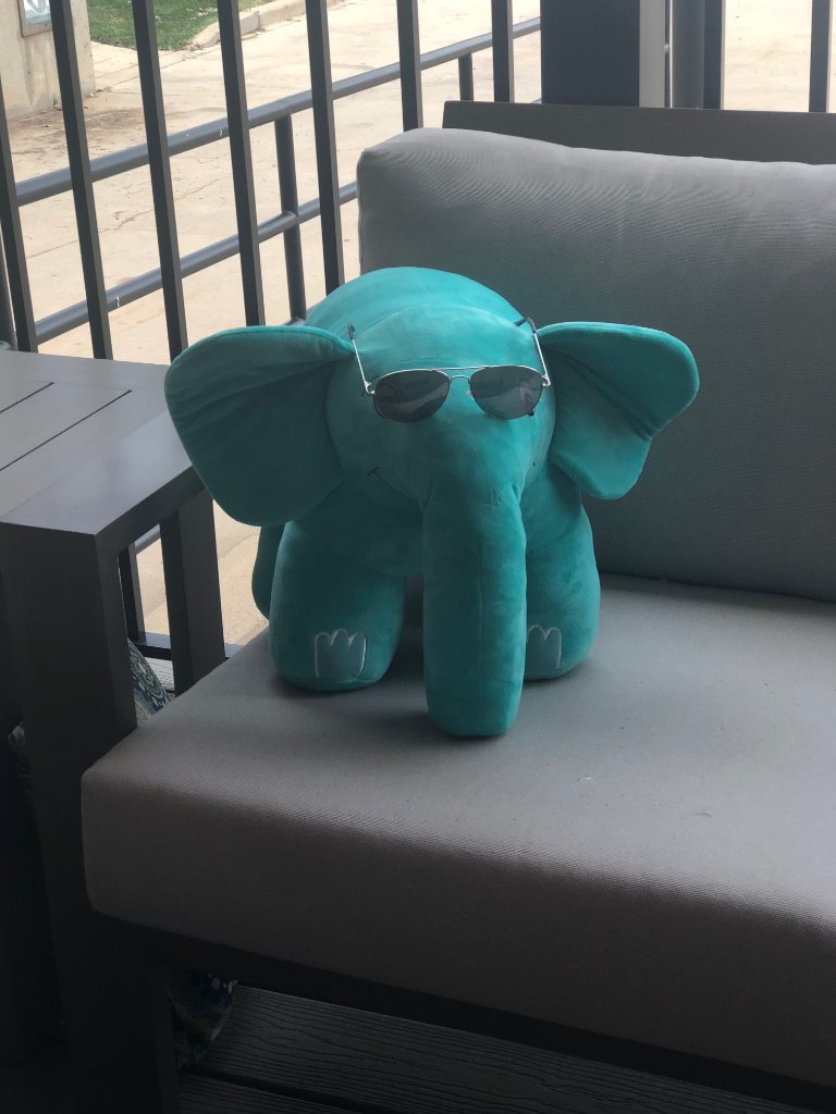 zend's tweet image. Chilling out on the deck for #NationalSunglassesDay!
#ElePHPant #PHP