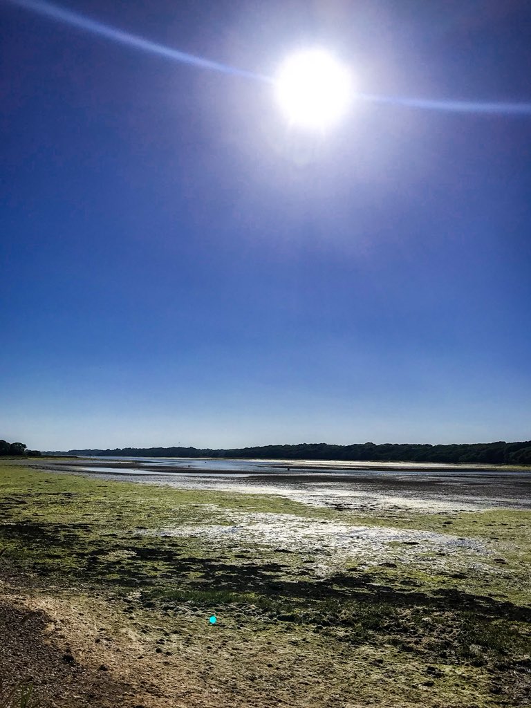 IMS_Marc's tweet image. Today’s sample site....not bad! #dellquay #westsussex #fieldworkisfun #portsmouthuni #marinebiology @UoPMarineBiol