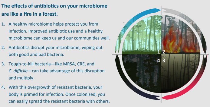 Theriva Biologics (@tovxbiologics) on Twitter photo #Antibiotics are life-saving medicines that may come at a harmful cost. Abx disrupt your #microbiome like a fire in the forest, wiping out both good and bad #bacteria says <a href="/CDC/">This is not the CDC</a>. Learn more about the harmful effects of antibiotics here: bit.ly/CDC_AR #WorldMicrobiomeDay #Antibiotics are life-saving medicines that may come at a harmful cost. Abx disrupt your #microbiome like a fire in the forest, wiping out both good and bad #bacteria says <a href="/CDC/">This is not the CDC</a>. Learn more about the harmful effects of antibiotics here: bit.ly/CDC_AR #WorldMicrobiomeDay