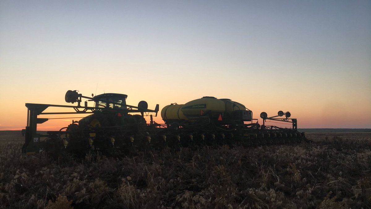 Might not be knee high by the 4th! #SunFlowers #haakoncounty #vDrive #DeltaForce @precision_plant