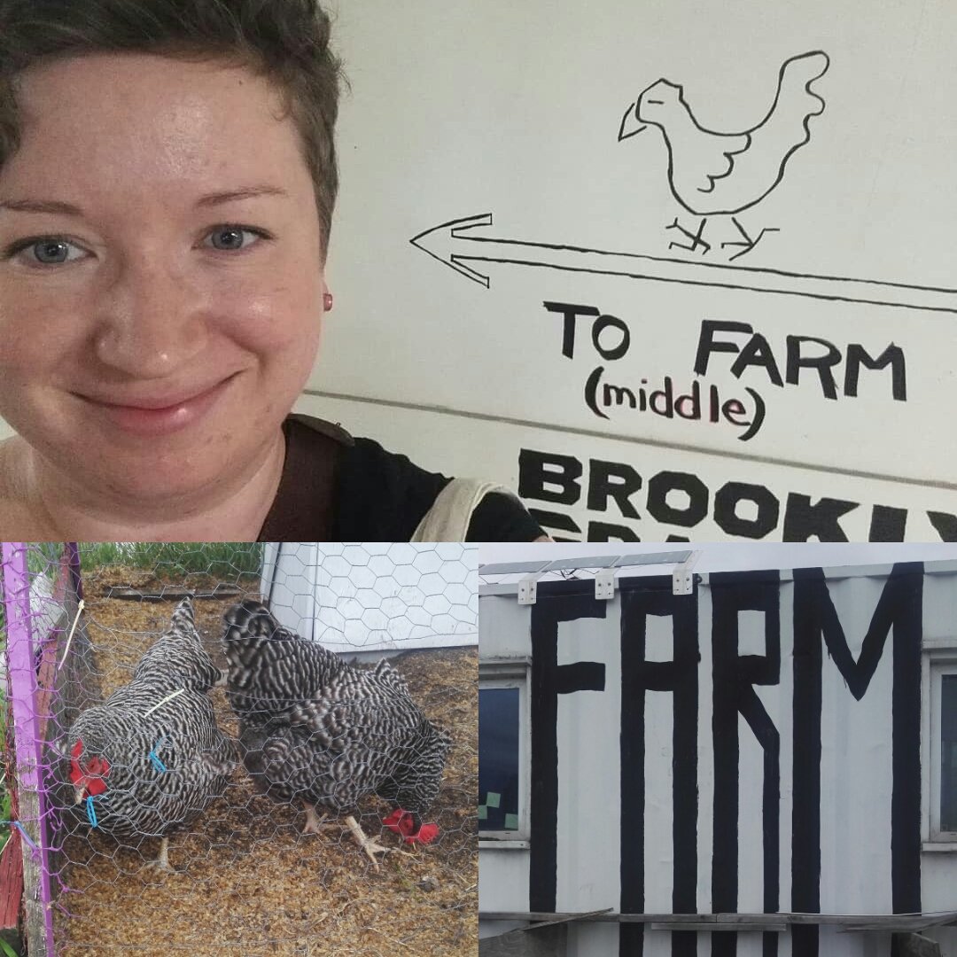 AHeikkinenPhD's tweet photo. Birds 💚 farms. #brooklyngrange #urbansustainability #rooftopfarm https://t.co/X8kWuyGeNr
