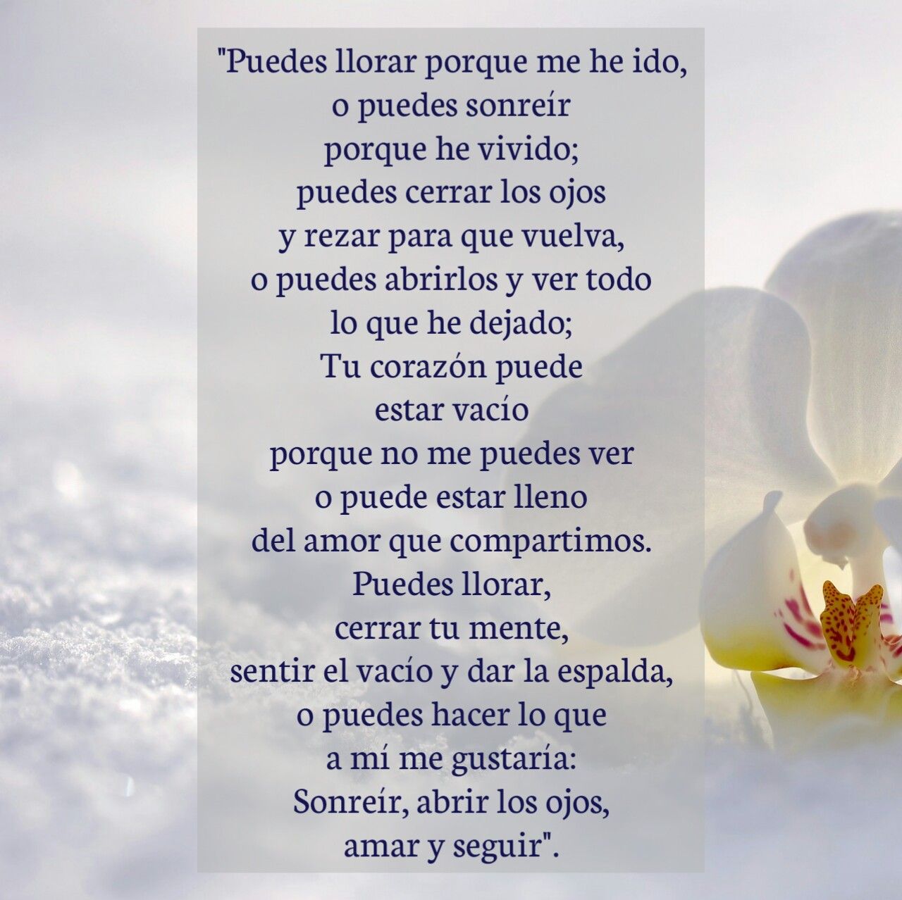 Naka Martinez🇻🇪 on Twitter: "#Luto #Duelo Precioso poema 