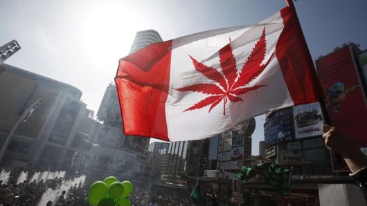 scarycatsworld's tweet photo. カナダ🇨🇦では10月17日から正式に大麻解禁‼️

法律もしっかり定められました
BC州では

公園や路上などの公共の場で
大麻を吸うと 1回目は $5000 罰金
2回目は $10000 罰金

大麻は30gまでの所持が認められますが、それ以上所持した場合も同じく
罰金がかせられます https://t.co/VMyHOl4igG