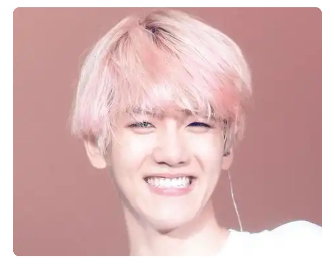 Baekhyun as Tamal de dulce:- HE'S SO FLUFFY- Kids and adults love him, we all do- Sweet and warm- His existence brights up your morning- His lip mole is like a tiny cute pasita