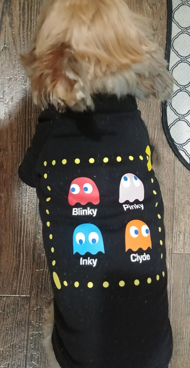 1stPlayerz's tweet image. Danny felt like rocking her PAC-MAN shirt #gaming