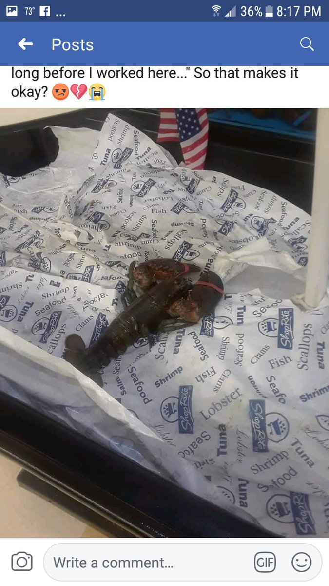 MeggleASMR's tweet image. This. So upset. 😭💔 @ShopRite