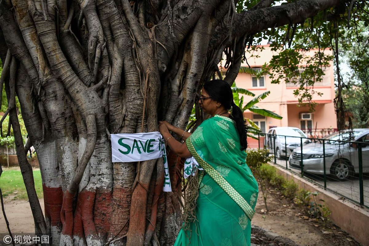 ChinaDaily's tweet image. Delhi women use banners and hug trees in a campaign to save more than 16,000 trees from being cut down for government housing project. #Savethetree (Photo: VCG)