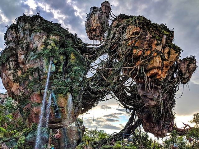 DerekFunkk's tweet photo. These things sure are aesthetically pleasing ✨ ⛰️ #floatingmountain #pandora #wdw #dak #avatar #pixel2 #teampixel #disneyworld https://t.co/lJg6KB2PDW