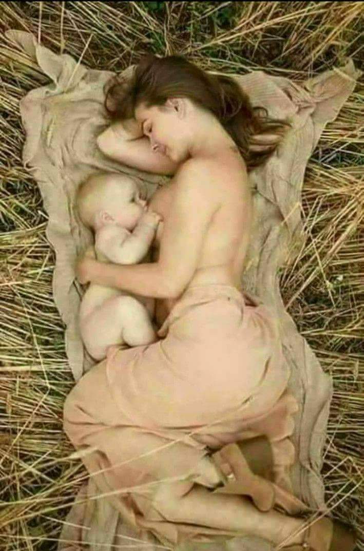 🚩 माँ 🚩
हाँ मैने #मां देखी है...
बिना लज्जा, बिना शर्म के
अपने जिगर के टुकडे को, चिपटा लेना
खूब प्यार करना, और दुग्ध पान कराना
न देखना कि, क्या है शय्या, या कहाँ है ठिकाना 
सिर्फ और सिर्फ, उसकी ही चिन्ता करना
ऐसी प्यार, मुहब्बत, समर्पण की देवी देखी है 
हाँ मैने माँ देखी है ....