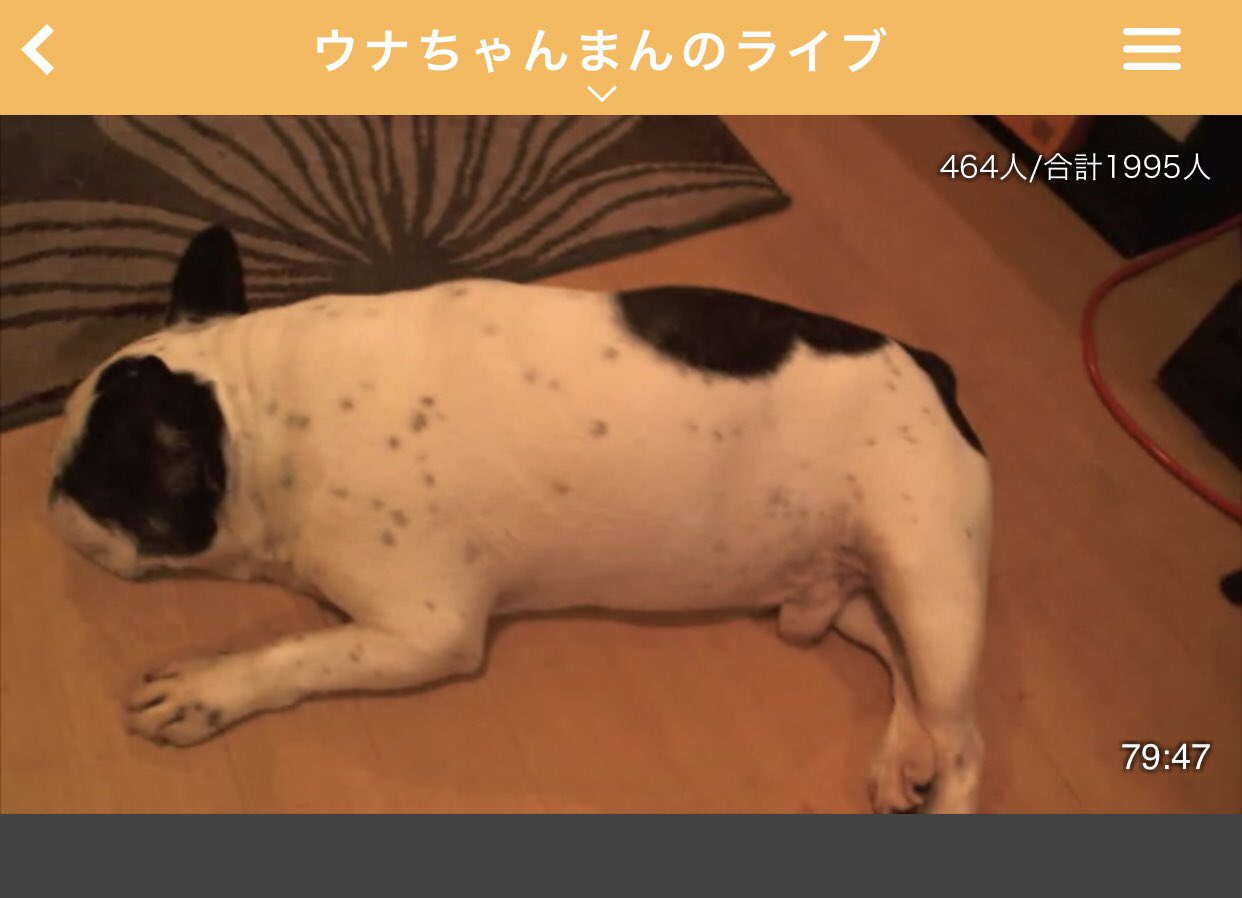 ふわっち監視員 ウナちゃんまん のライブ 部長は3ヶ月でウチきて1ヶ月半で全部覚えたね 部長の場合は目を見てピッてやればビジッとやるからね 瓜田夫妻について 絡みはないからわからないけどふわっち始めたみたいね 存在はもちろん知ってるよ