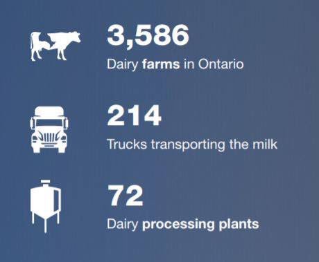 Ontario proud! Proud to support the dairy farmers of this province and all across Canada who work hard 24 hours a day, 365 days a year to produce #qualitymilk! #dairygoodness