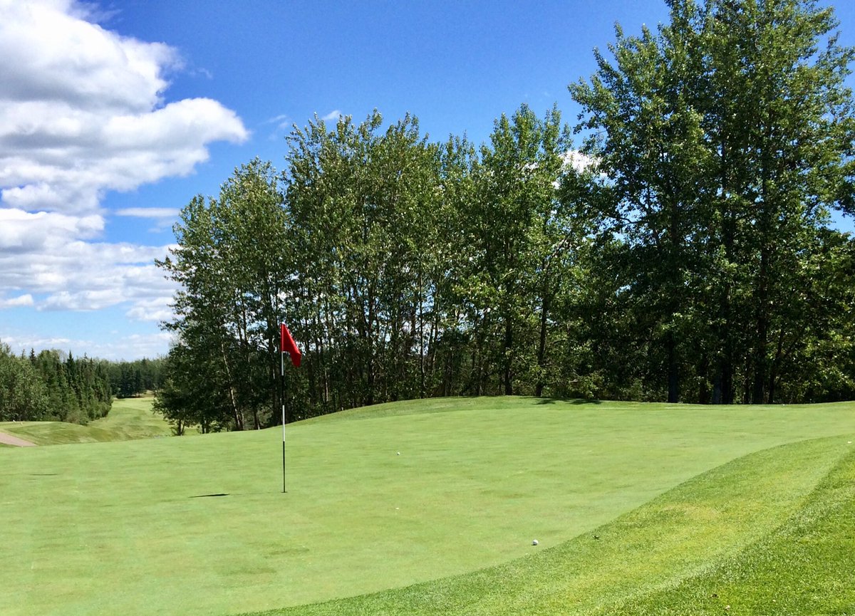 Gordinsidegolf's tweet image. Played @CougarCreekGolf today as part of a 4some in 3:05, tapping in a 3-footer for birdie on #18.
Course conditions are improving every day including #2 green (pictured here) that was totally re-sodded.
#giveitashot
#funtrack
