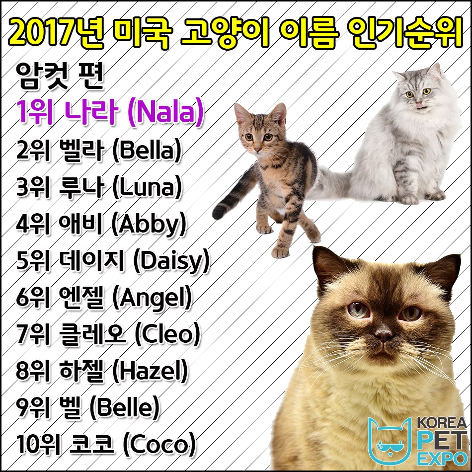2018 코리아펫엑스포 on Twitter: 2018 코리아펫엑스포 On Twitter: