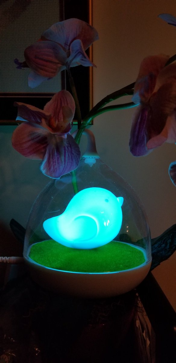 kitfishell's tweet photo. Tweeting my new touch lamp! #tweetlamp #tweets4toys https://t.co/n6XzDNxiDr