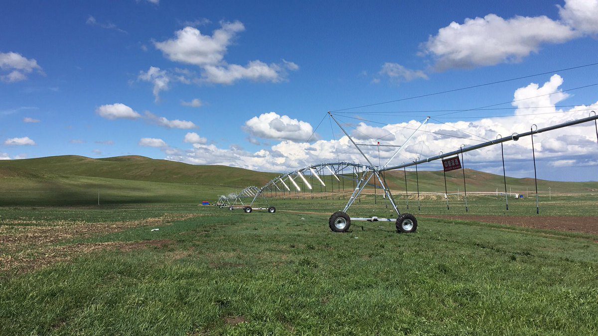 MapleYu7's tweet image. 