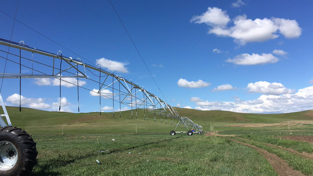 MapleYu7's tweet image. 