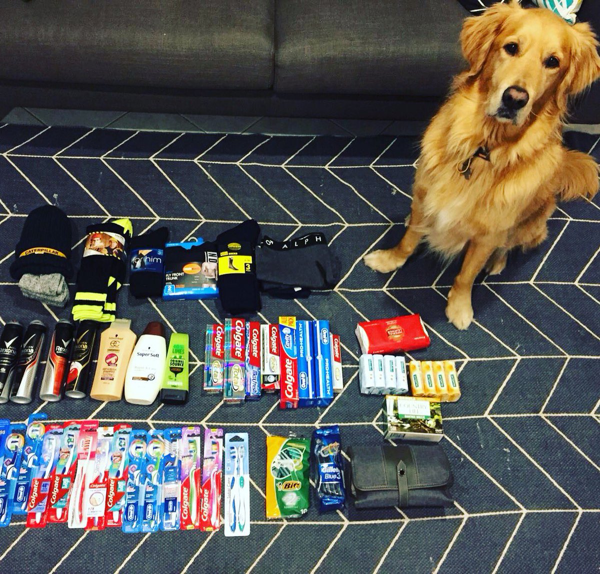 Ninja has been keeping a watchful eye on our tally of donations. We will have a final count of donations and our Pair for a Pair socks for you soon. 

(Yes, the dogs name is really Ninja!) 

#basicsforblokes #pairforapair #oneforone #socks #homeless #donate #ninja #charity #perth