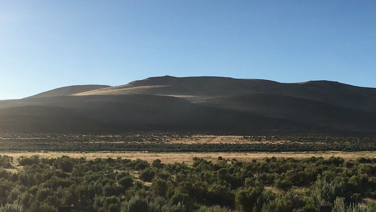 GurajpalSangha's tweet image. Forward has been stopped for the #HyattFire. 441 acres has burned. It has burned one home and injured one person. kolotv.com/content/news/1…