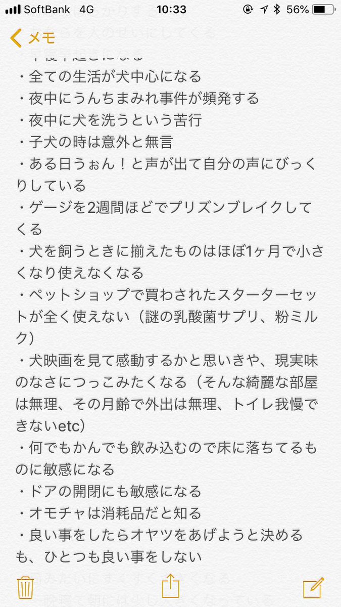 こはる@ゴールデンレトリバー tweet media