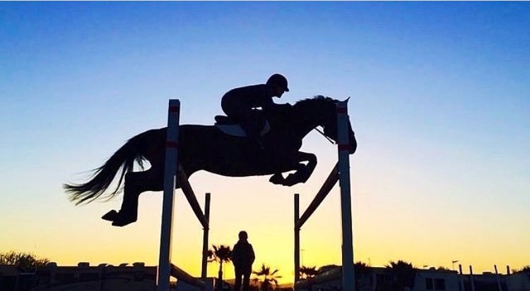 vmll____'s tweet photo. 🐎❤️❤️ https://t.co/EM3Hkhrooj