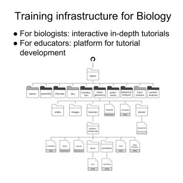 dys functionalities