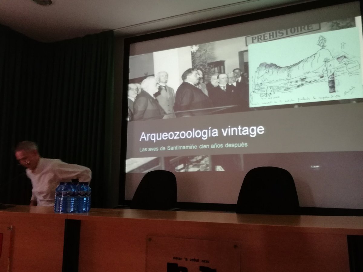Prb20181's tweet photo. Vamos con uno de los grandes, Mikelo Elorza, uno de los mejores especialistas en Aves. Nos presenta el trabajo de las aves de Santimamiñe 100 años después https://t.co/9wv3unhb2J